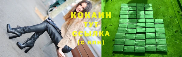 гашик Аркадак