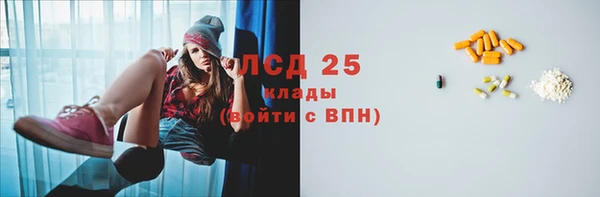гашик Аркадак